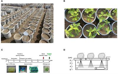 Current views of drought research: experimental methods, adaptation mechanisms and regulatory strategies